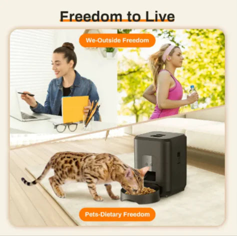 Smart Pet Feeder with App Control for Easy Feeding