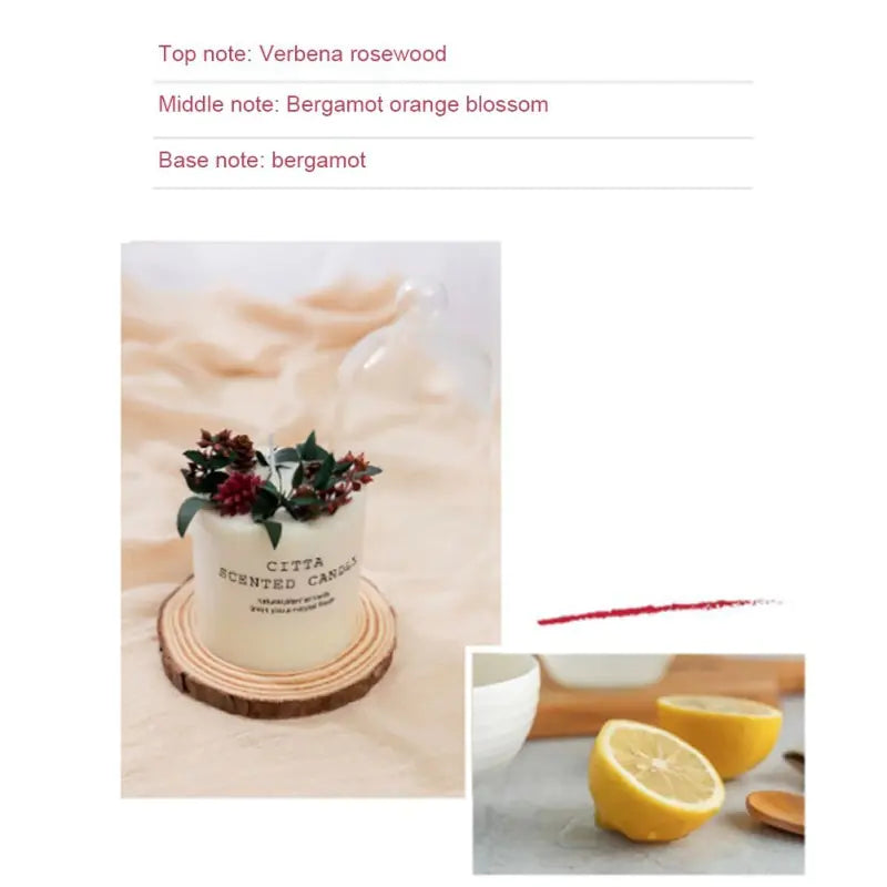 Premium Soy Wax Fragrance Candles for Elegant Atmosphere