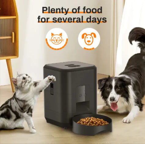 Smart Pet Feeder with App Control for Easy Feeding