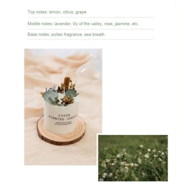 Premium Soy Wax Fragrance Candles for Elegant Atmosphere