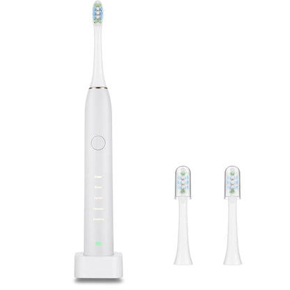 Electric Toothbrush IPX7 Replacement Heads Set for Deep Clean